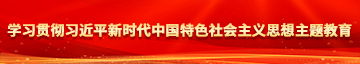 日B<爽学习贯彻习近平新时代中国特色社会主义思想主题教育